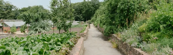 Production garden 1920x920